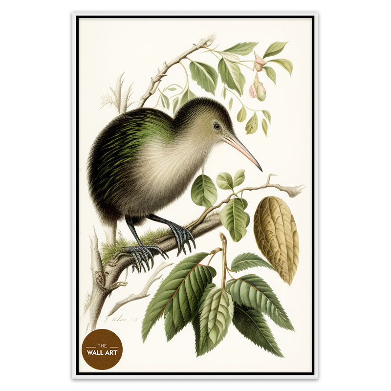 KIWI BIRD II