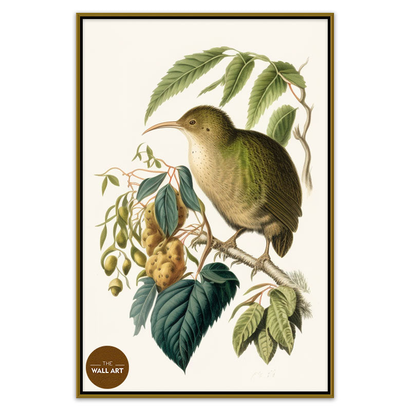 KIWI BIRD I