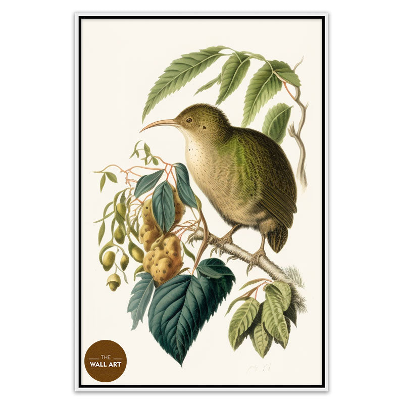 KIWI BIRD I