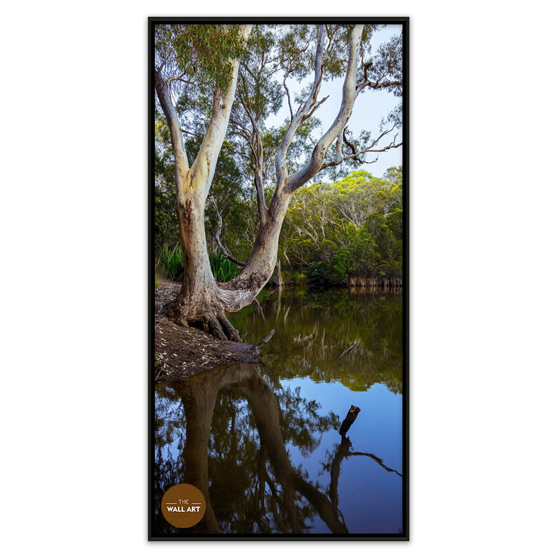 LAKESIDE GUM TREE