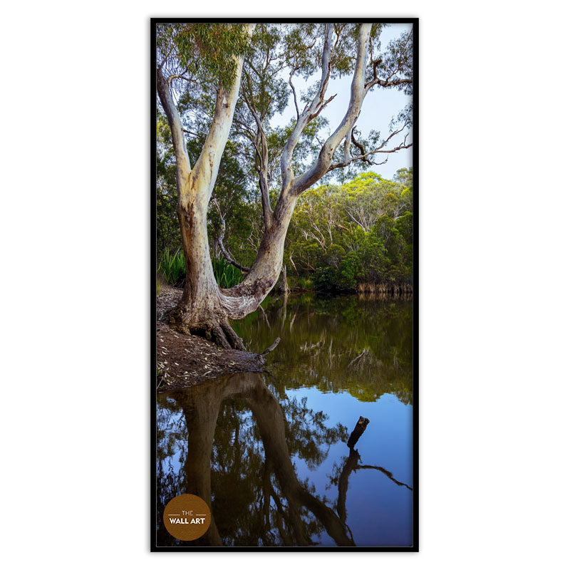 LAKESIDE GUM TREE
