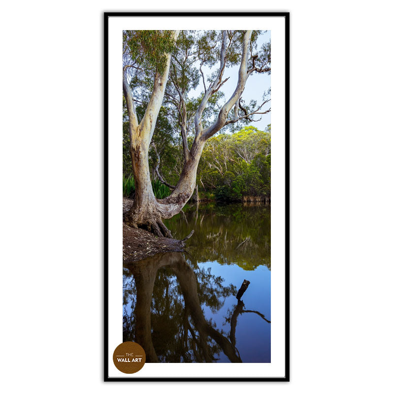 LAKESIDE GUM TREE