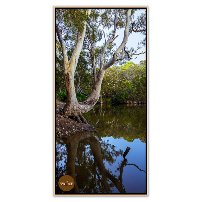LAKESIDE GUM TREE