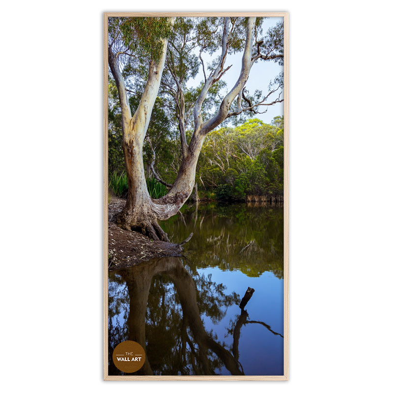 LAKESIDE GUM TREE