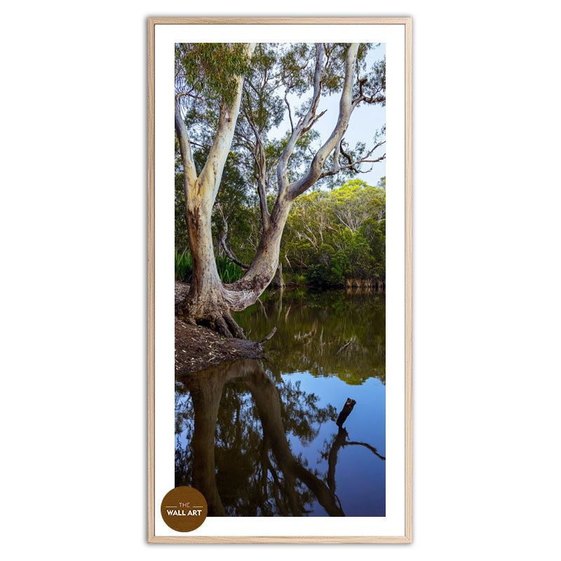 LAKESIDE GUM TREE