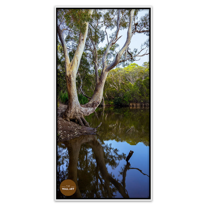 LAKESIDE GUM TREE