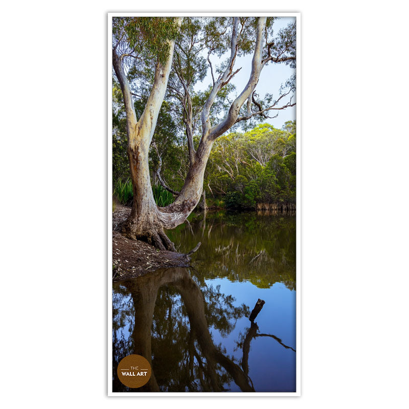LAKESIDE GUM TREE