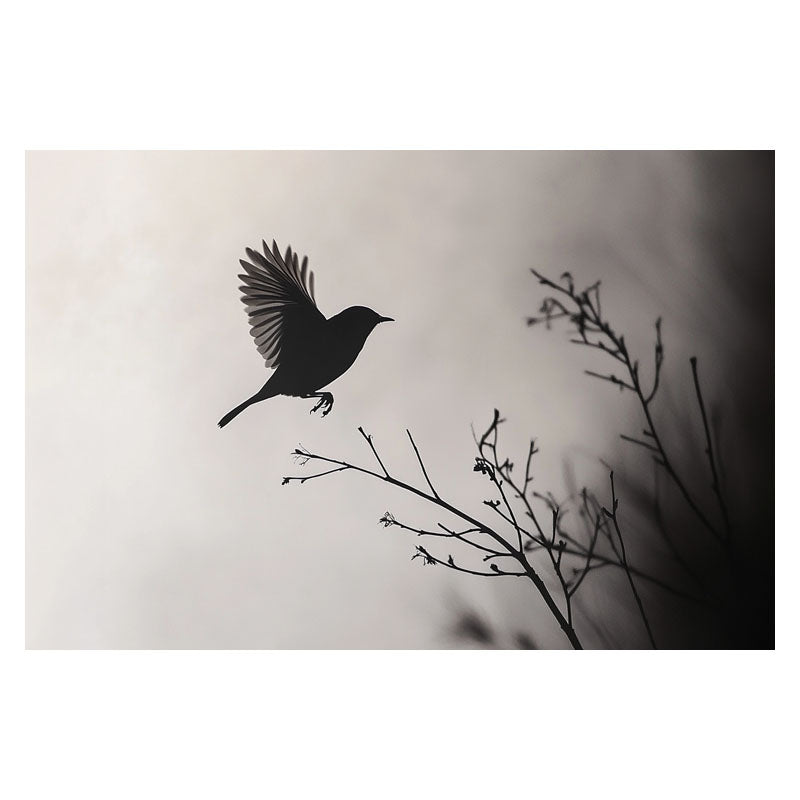 LANDING ON BRANCH I