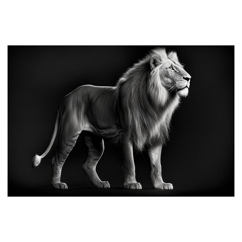 LION PORTRAIT I