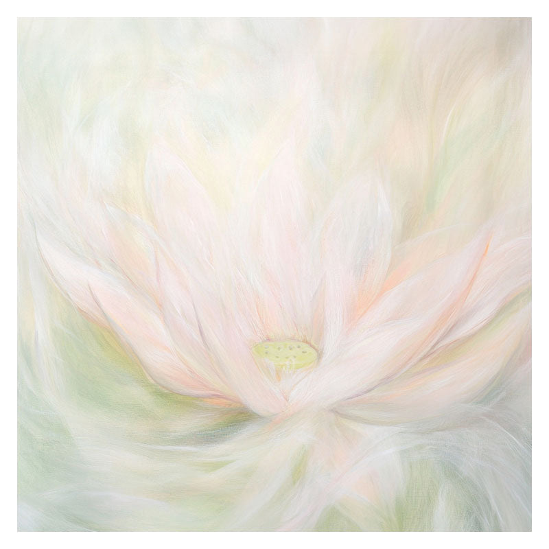 LOTUS DREAM