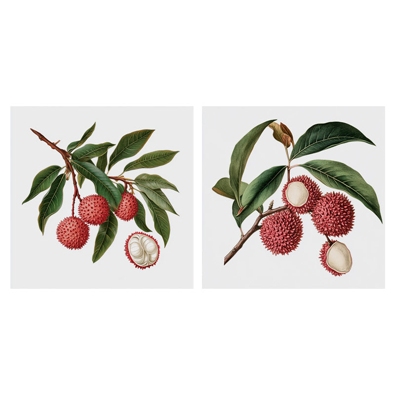 LYCHY BRANCH I_SETOF2_