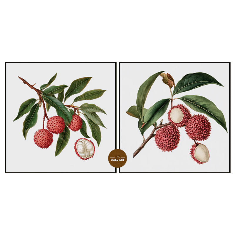 LYCHY BRANCH I_SETOF2_