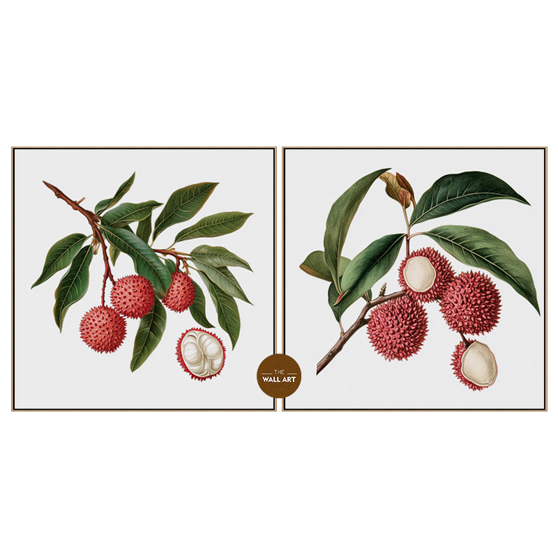 LYCHY BRANCH I_SETOF2_