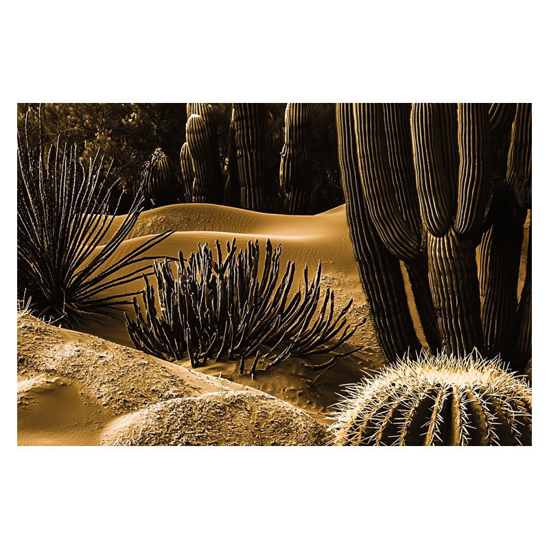 MACRO SHOT OF CACTUS III