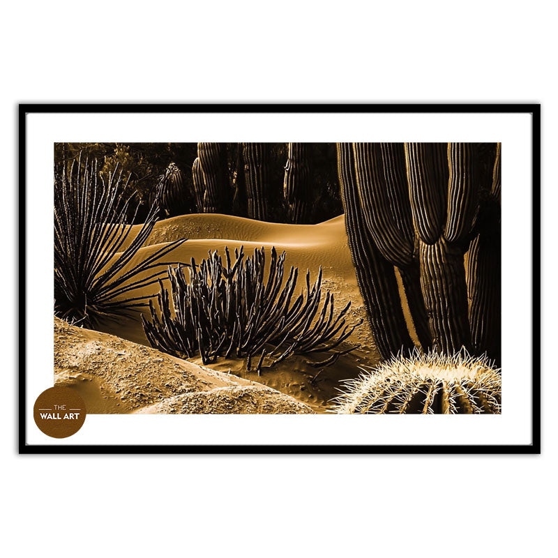 MACRO SHOT OF CACTUS III