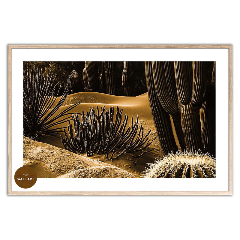 MACRO SHOT OF CACTUS III