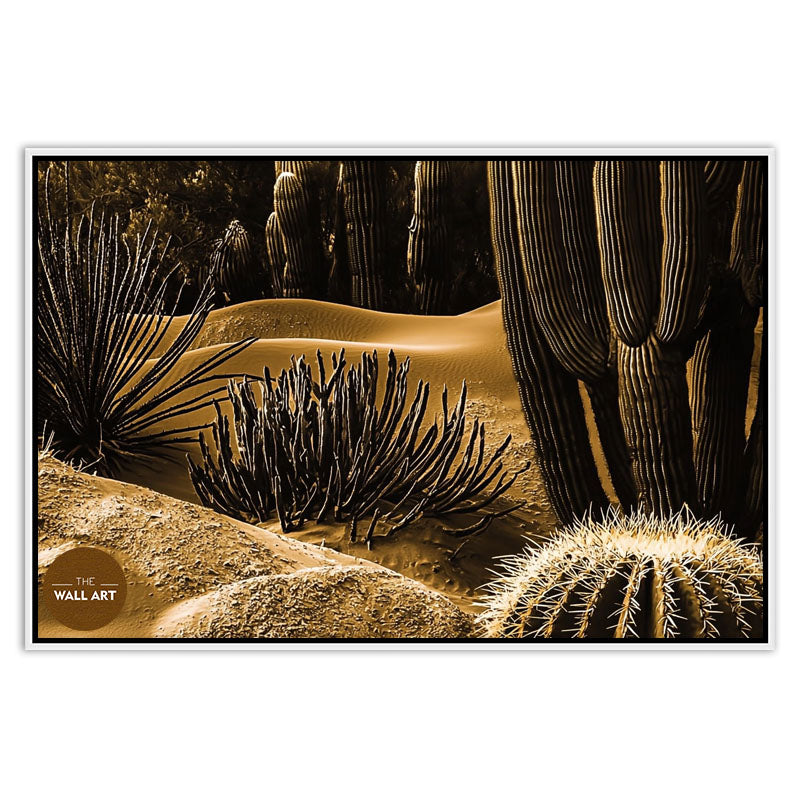 MACRO SHOT OF CACTUS III