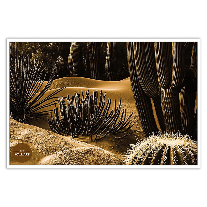 MACRO SHOT OF CACTUS III