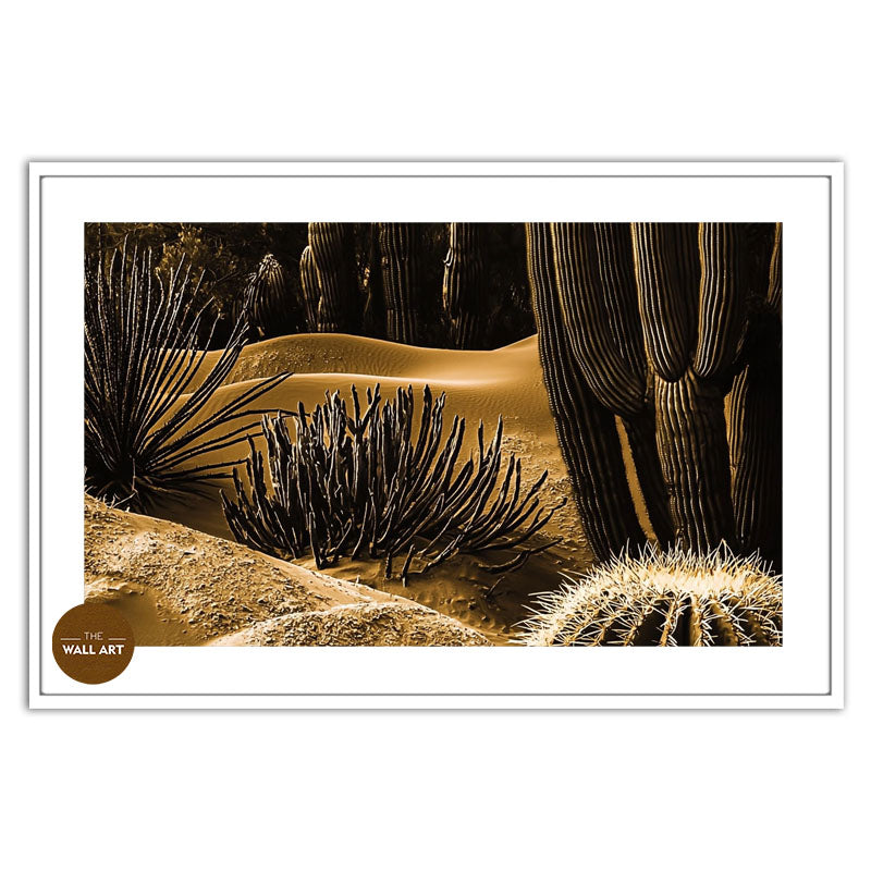 MACRO SHOT OF CACTUS III