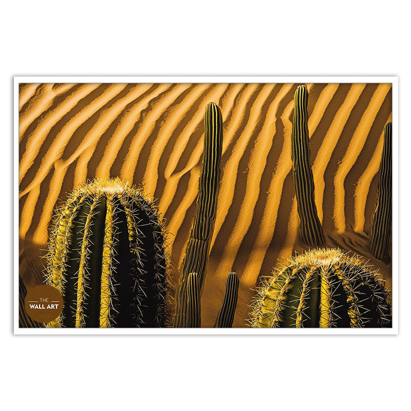 MACRO SHOT OF CACTUS II