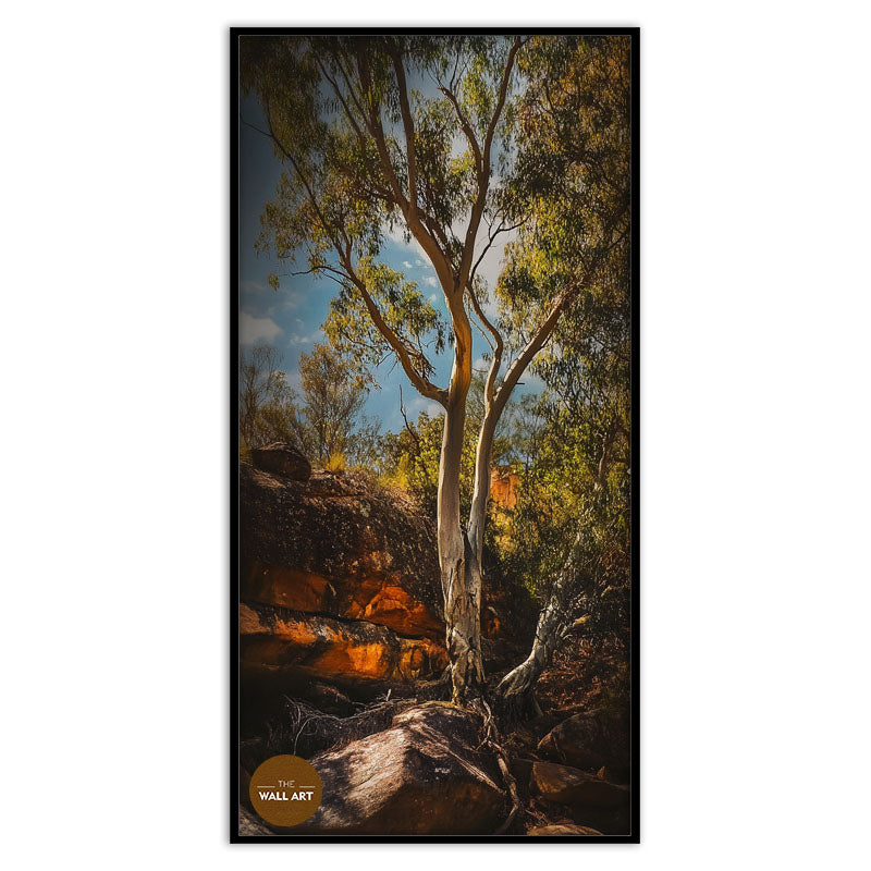 MOUNTAIN SIDE GUM TREE