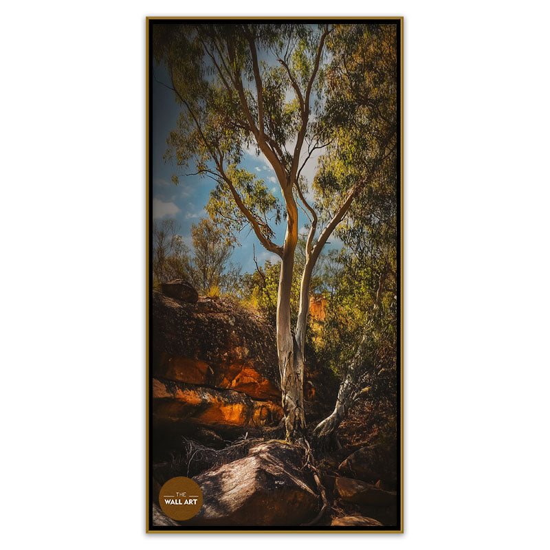 MOUNTAIN SIDE GUM TREE