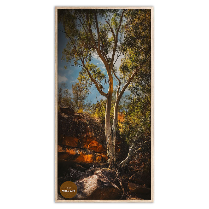MOUNTAIN SIDE GUM TREE