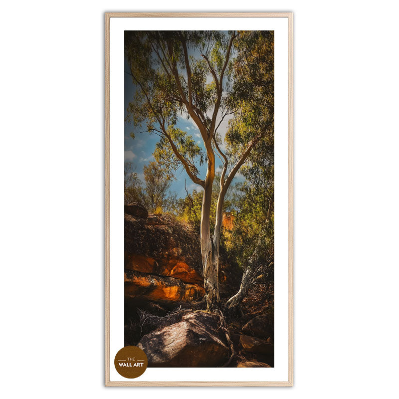 MOUNTAIN SIDE GUM TREE
