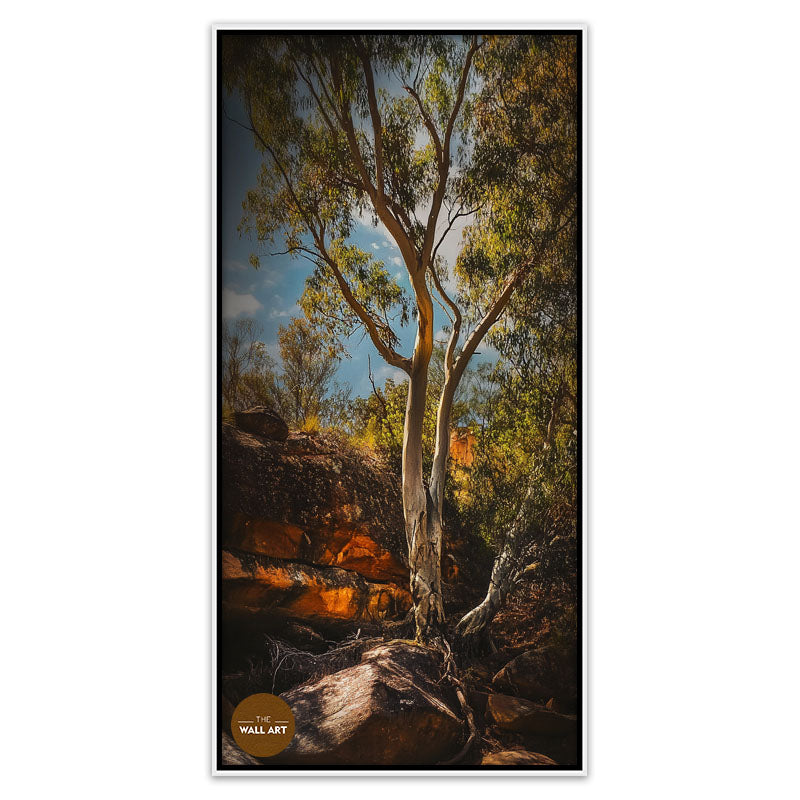 MOUNTAIN SIDE GUM TREE