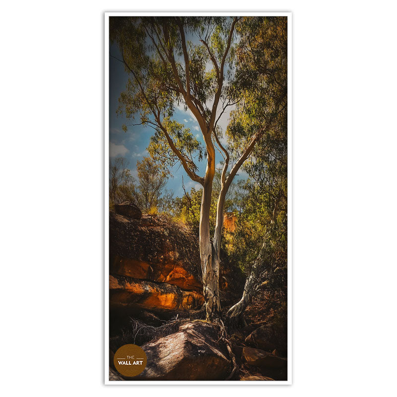 MOUNTAIN SIDE GUM TREE