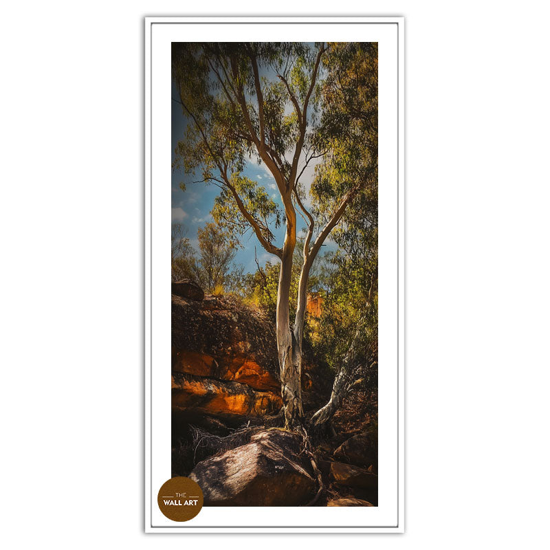 MOUNTAIN SIDE GUM TREE