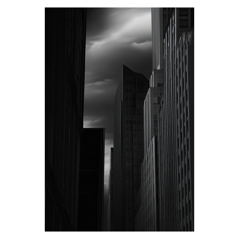 MURKY CITY LINE I