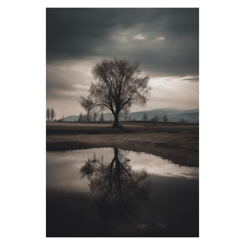 MURKY SHADOW I