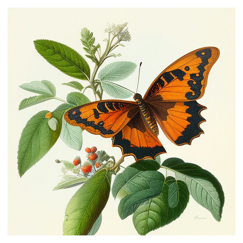 ORANGE BUTTERFLY