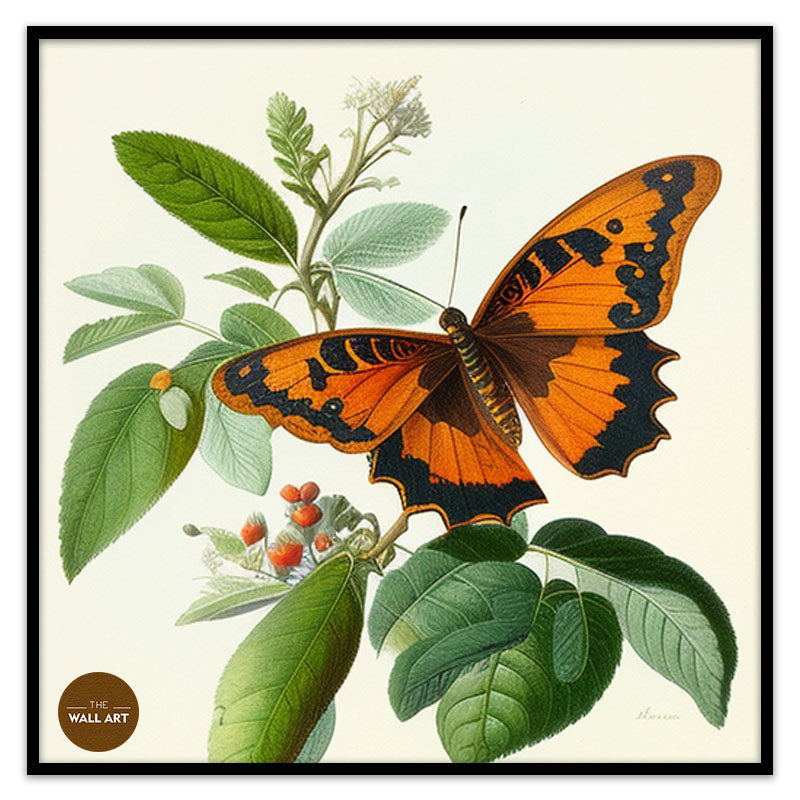 ORANGE BUTTERFLY