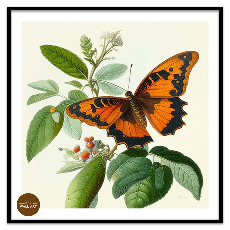 ORANGE BUTTERFLY