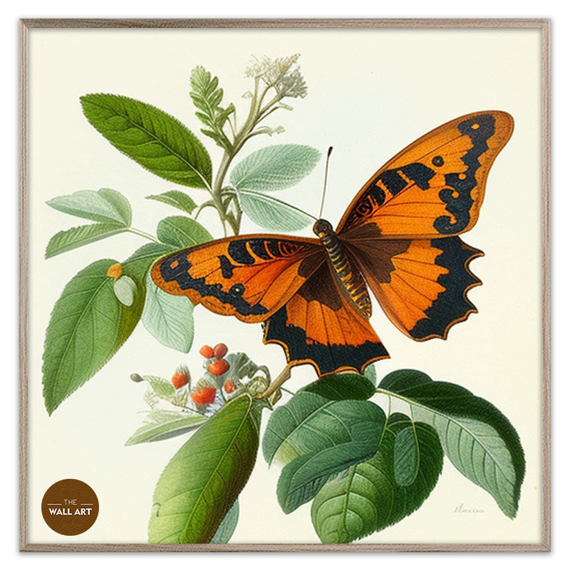 ORANGE BUTTERFLY