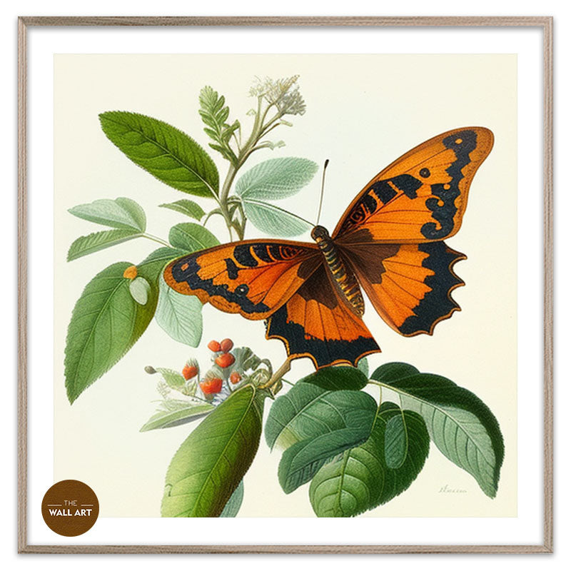 ORANGE BUTTERFLY