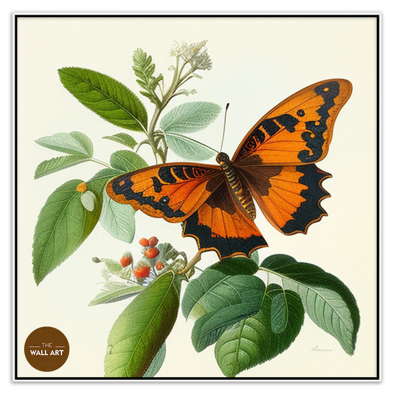 ORANGE BUTTERFLY