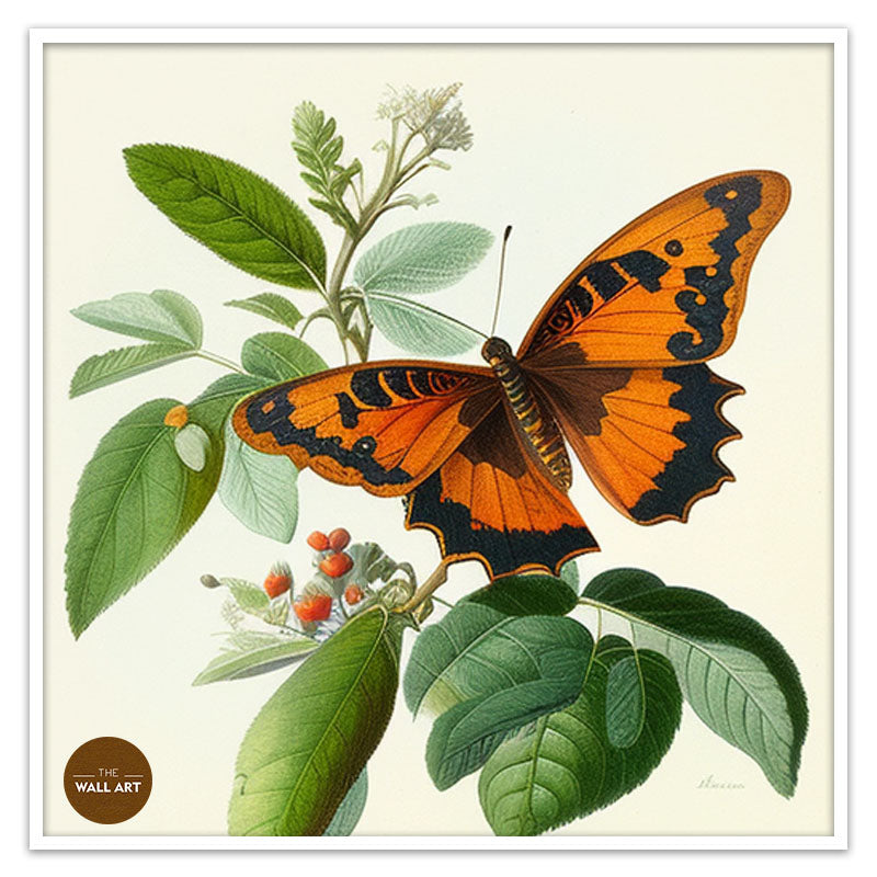 ORANGE BUTTERFLY