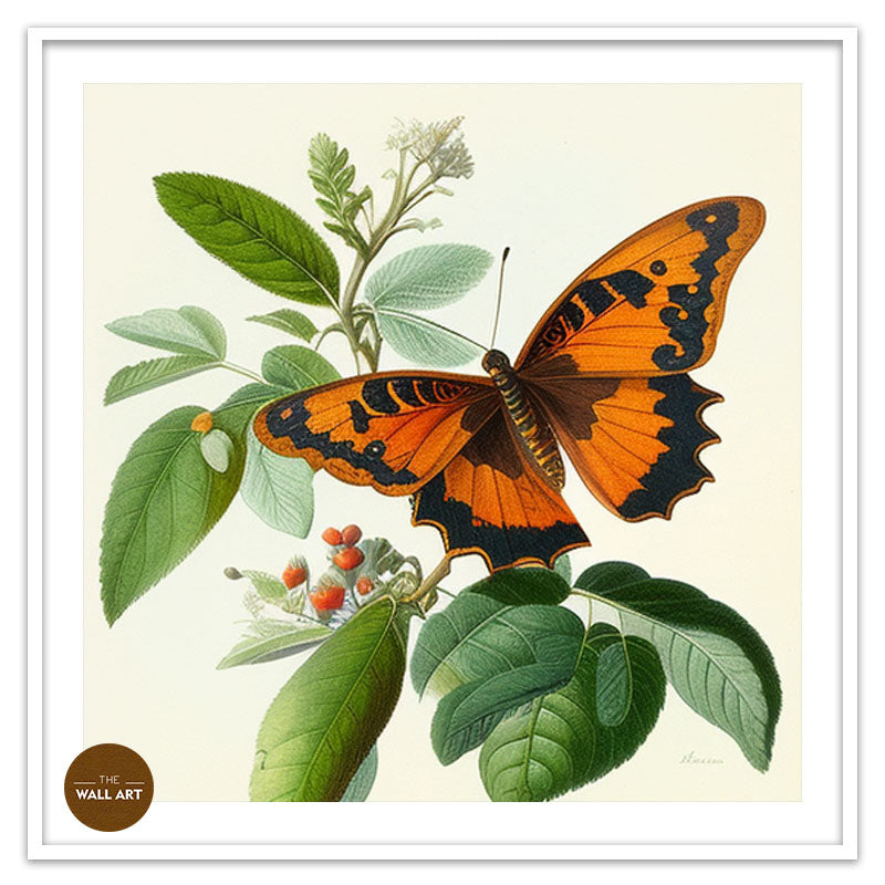 ORANGE BUTTERFLY