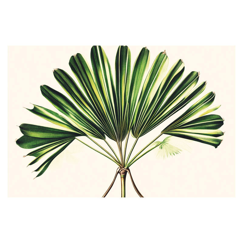 PALM LEAVES III