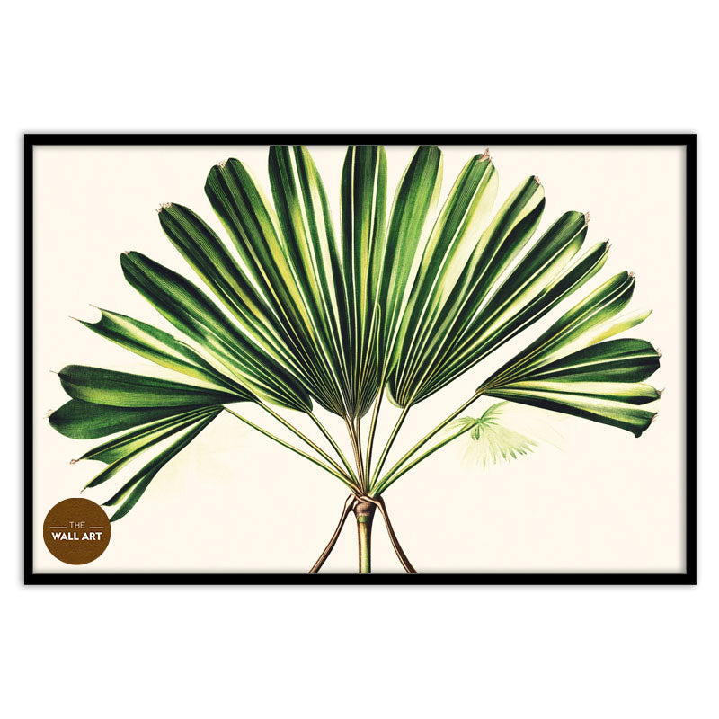 PALM LEAVES III