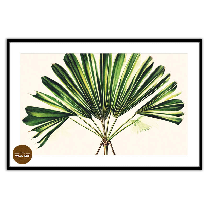 PALM LEAVES III