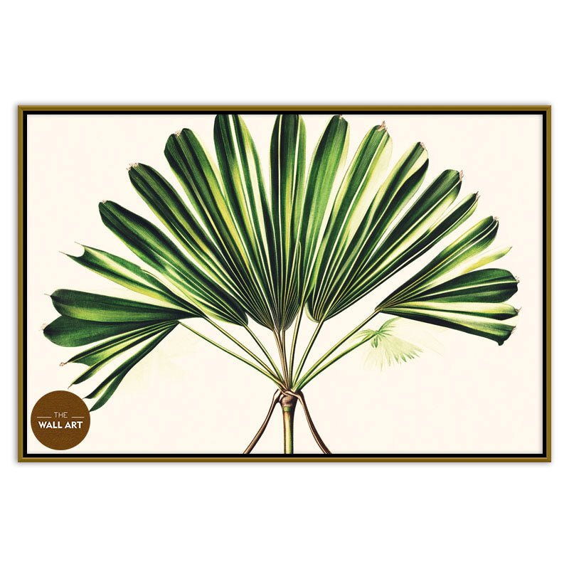 PALM LEAVES III