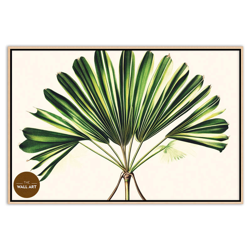 PALM LEAVES III