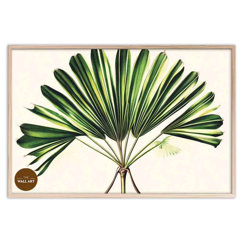 PALM LEAVES III
