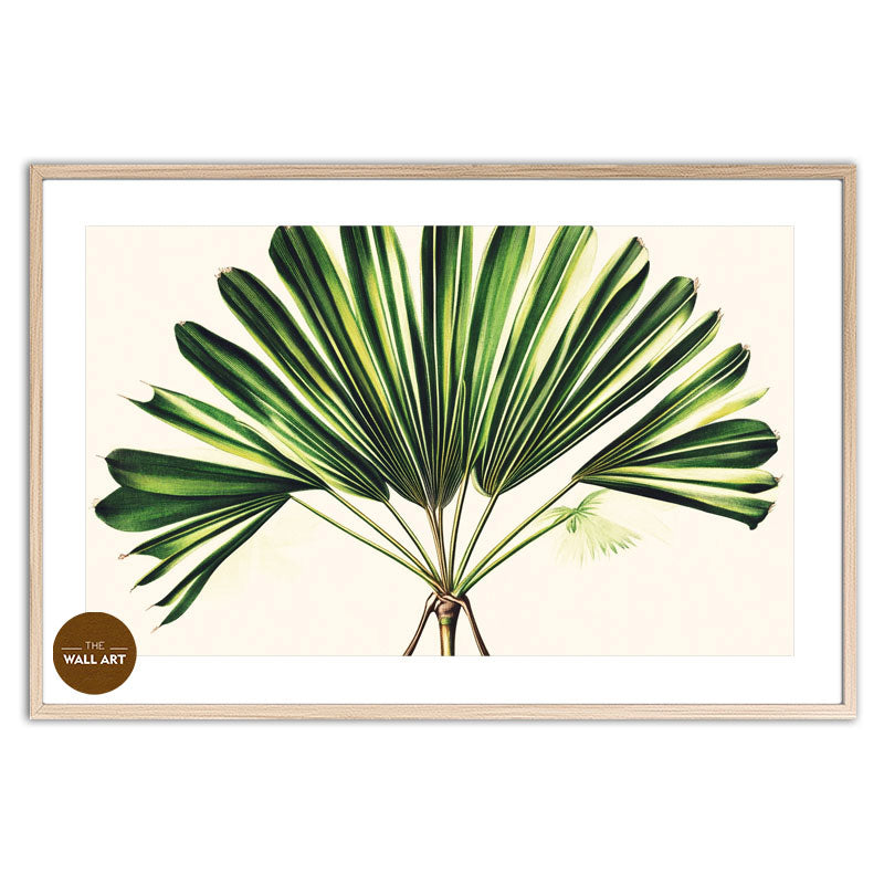 PALM LEAVES III