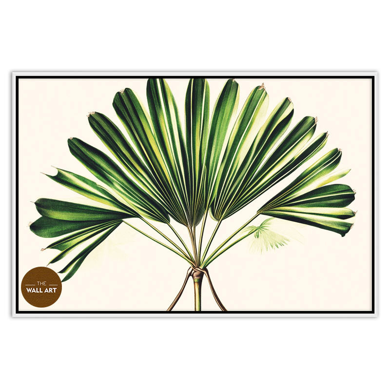 PALM LEAVES III