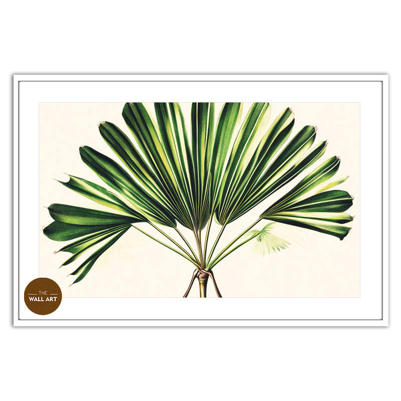 PALM LEAVES III
